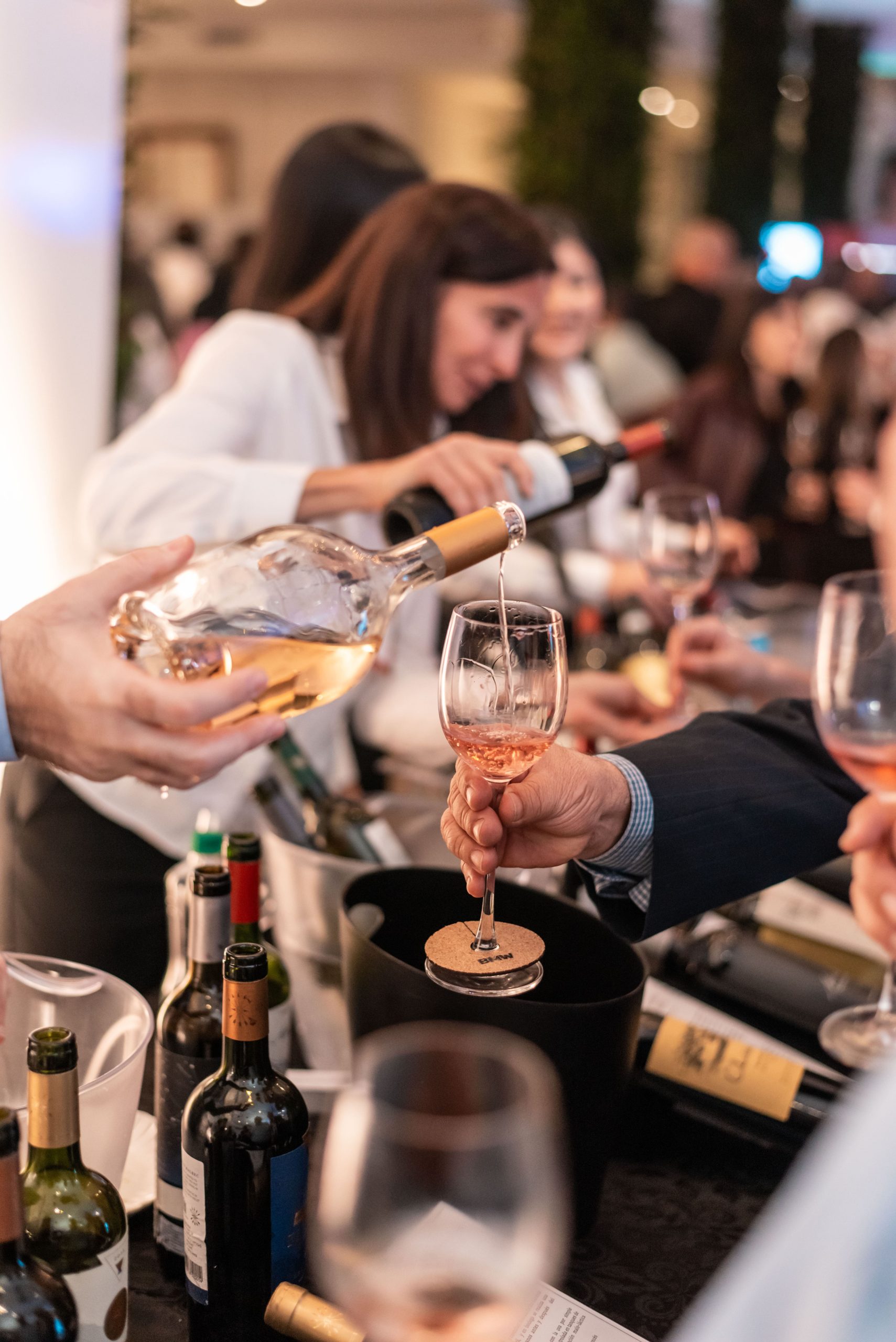 Degustación de vinos en Viva el Vino